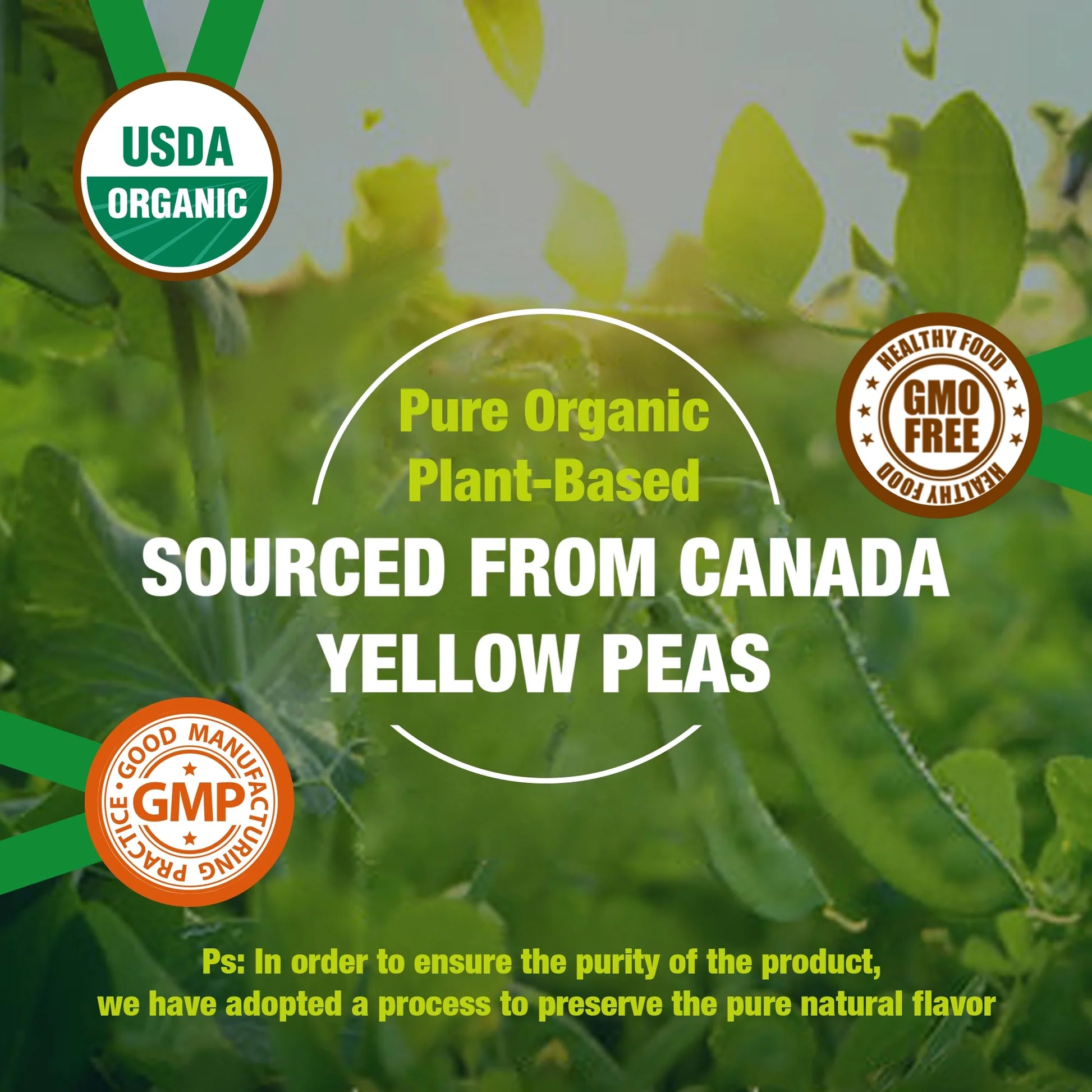 Organic Hydro Pea Protein Powder, Natural Flavor, Vegan Protein Powder, Plant Based, Certified USDA, 2.62 Lbs